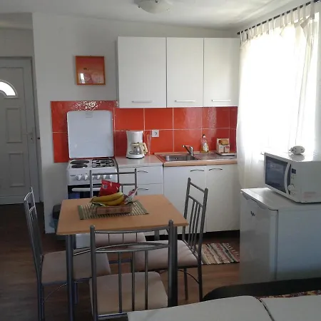 Apartmán With A Parking Space Gornji Karin, Novigrad - 16610